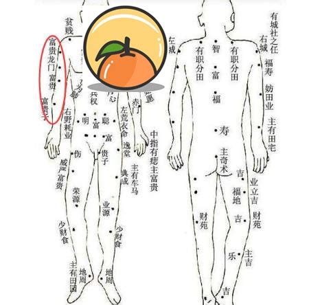 手臂 有痣|從手上的痣看你的好運在哪？上手臂有痣善於 ...